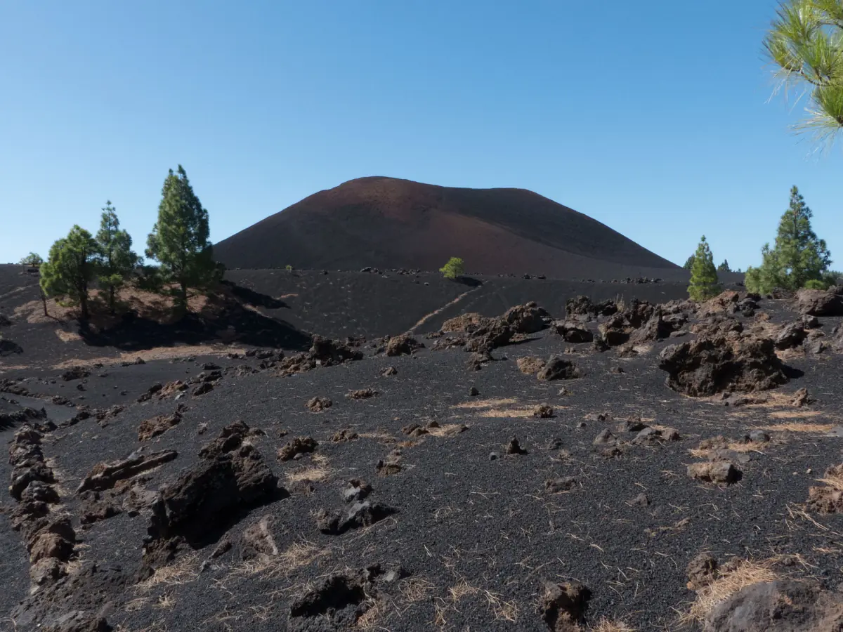 Das schwarze Lavafeld des Chinyero mit Kiefern