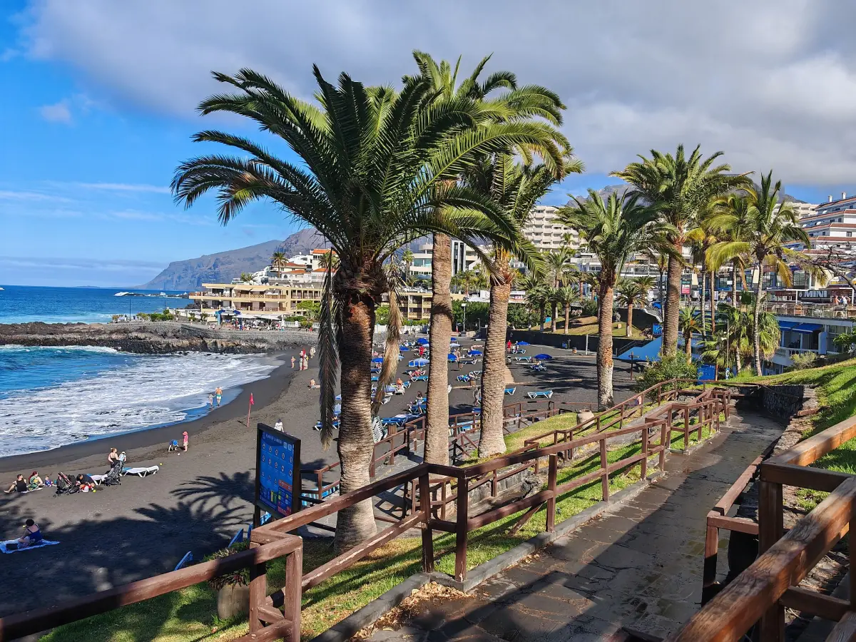 Palmen an der Promenade der Playa de la Arena